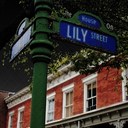 Howard Kistler - The House on Lily Street